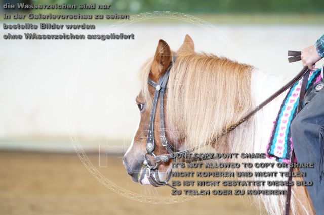 s_K3F09880.JPG